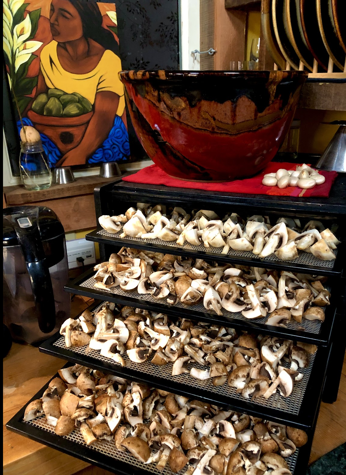 Dehydrating Mushrooms